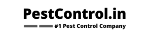 Termite Control services in Rohini