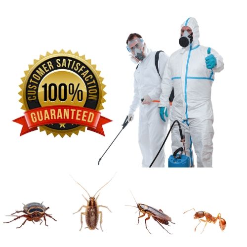 Pest Control in Defence Colony